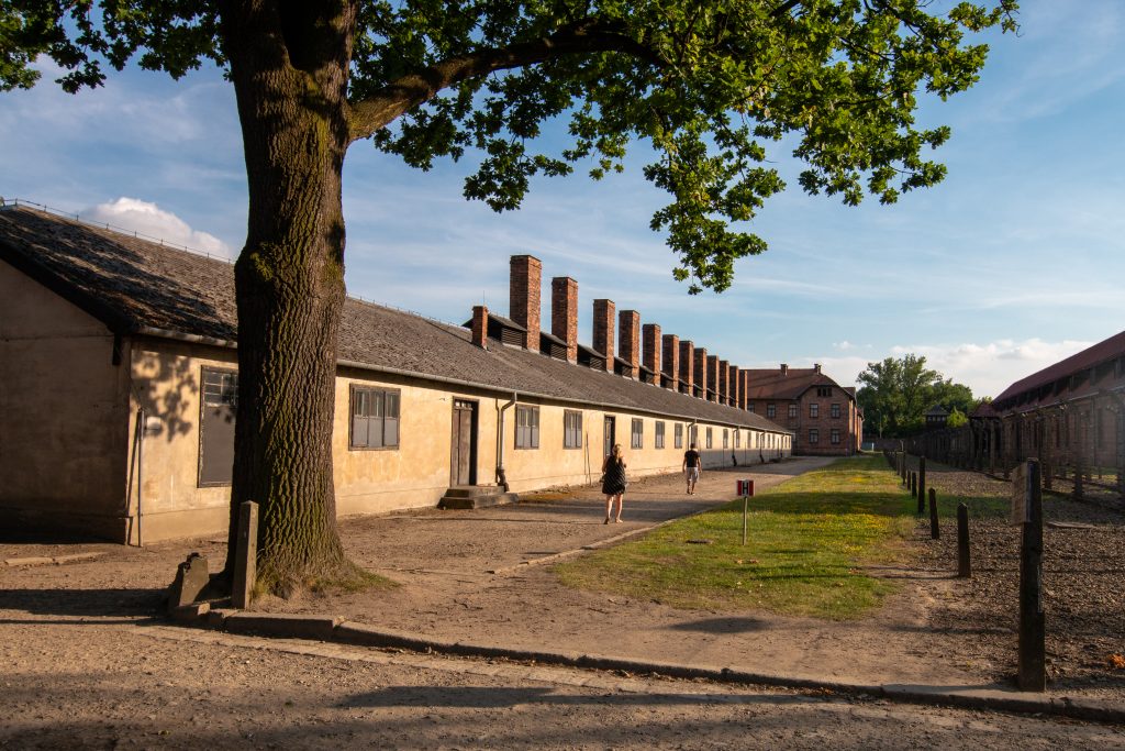 exterior of auschwitz concentration camp crematorium building with tree growing in the foreground