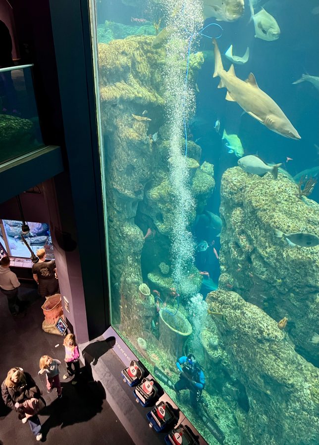 multi-story ocean tank in south carolina aquarium as seen from above during a rainy day in charleston sc