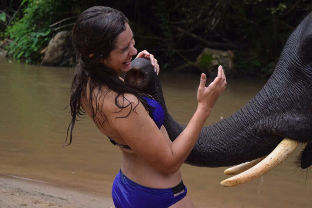 kate storm in a bathing suit swimming with elephants in thailand, an elephant trunk is reaching for her face