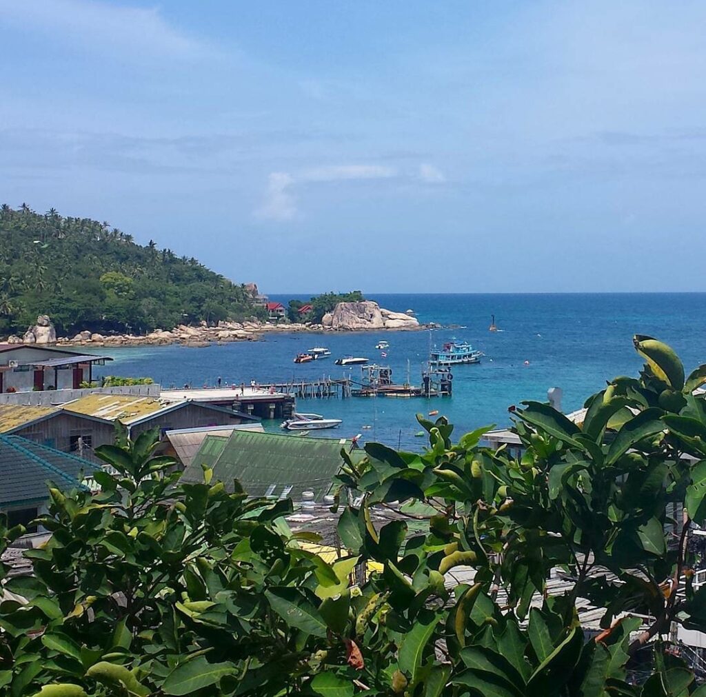 view of boats in the mae head harbor with trees in the foreground, as seen during the week of our open water course koh tao thailand
