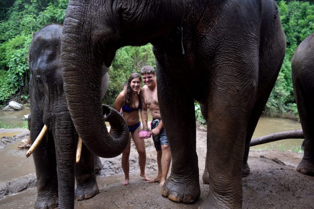 How to Ethically Visit Elephants in Thailand
