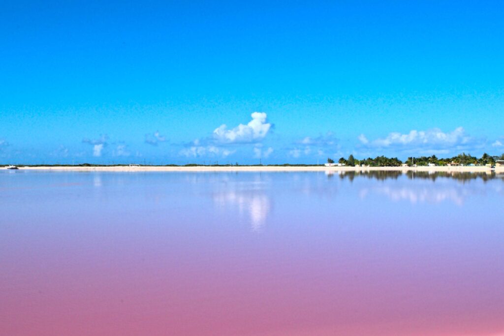 Pink Lakes of Las Coloradas, Mexico