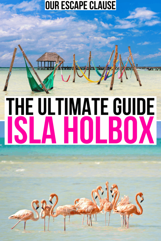 2 photos of holbox: hammocks in water and flamingos. black and pink text on a white background reads "the ultimate guide isla holbox"