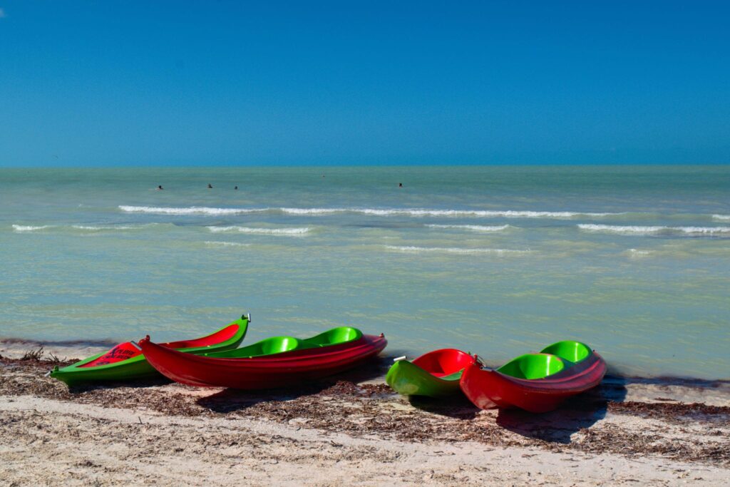 4 kayaks on the edge of the water on a sunny day