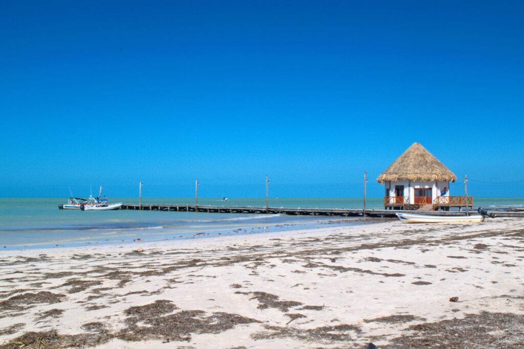 beach on isla holbox mexico with seaweed in the foreground