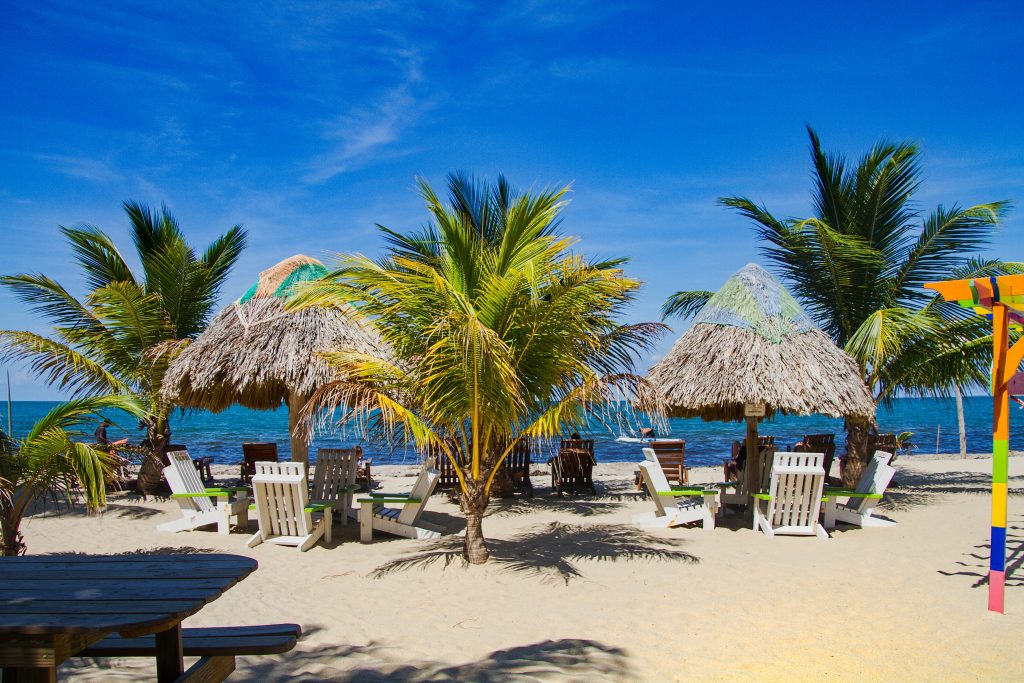 colllection of palm trees and beach huts on the sand