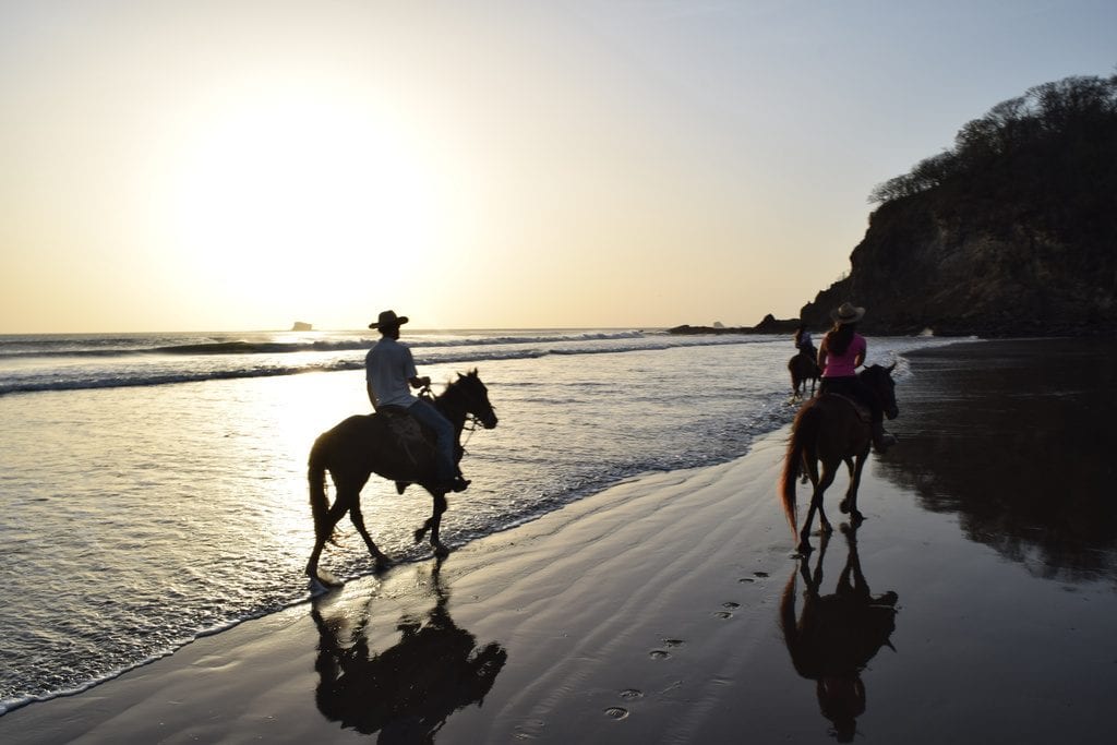 gropu of riders at sunset horseback riding on a beach