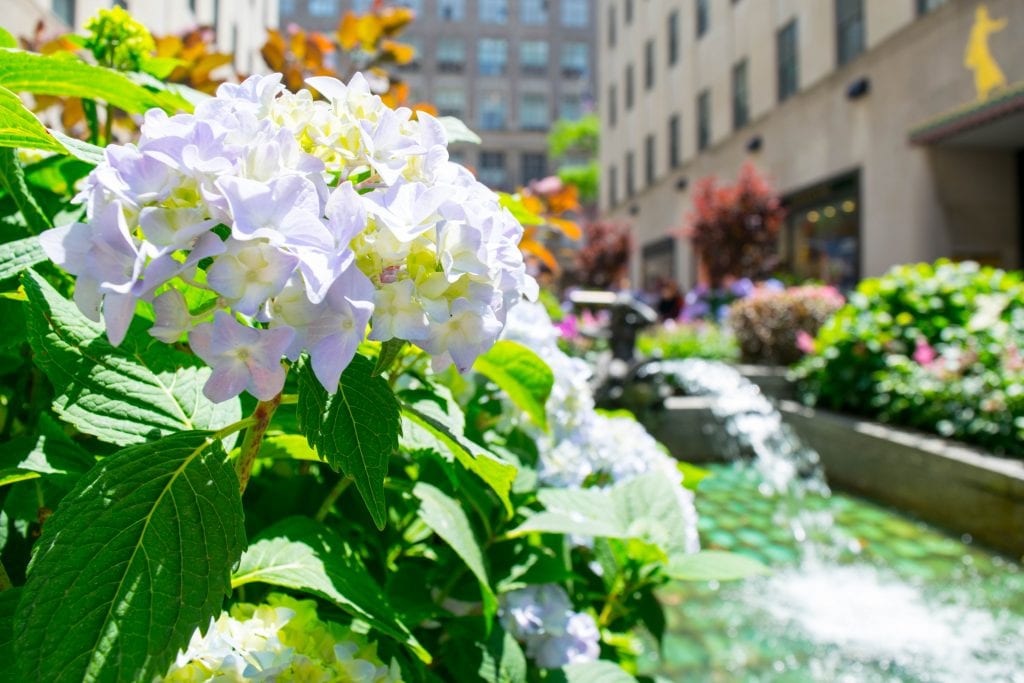Weekend in New York City