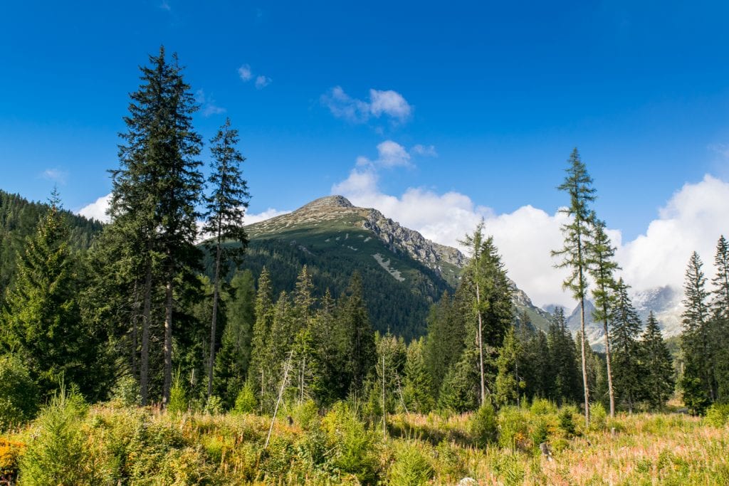 views along hiking trail high tatras slovakia in late summer