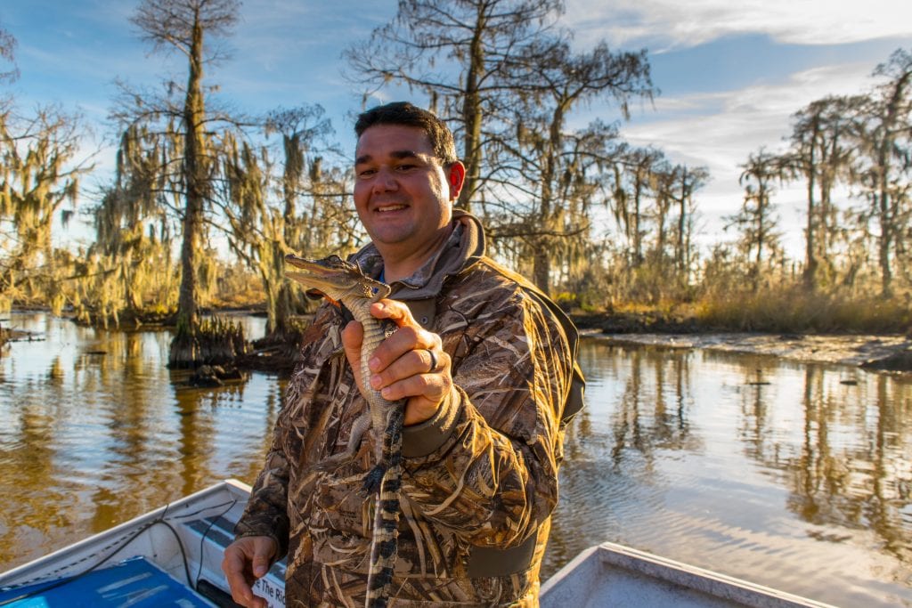 tour guide holding up alligator on airboat tour in new orleans bayou