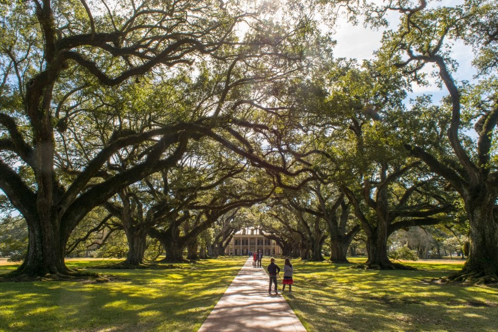 Famous oak-lined path leading to the Oak Alley Plantation near New Orleans Louisiana