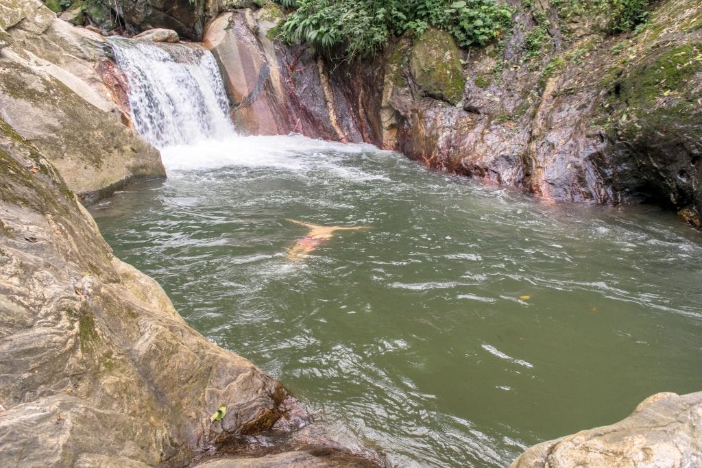 jeremy storm swimming in waterfalls minca colombia pozo azul