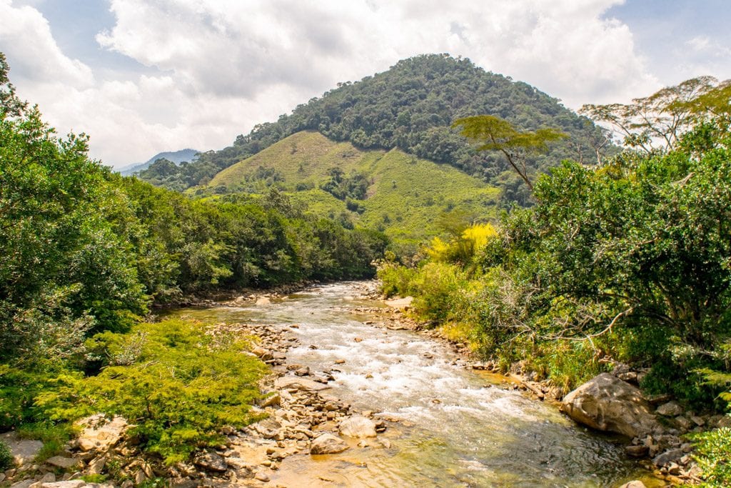 The Best Things to Do in Guatape: Andes Mountains