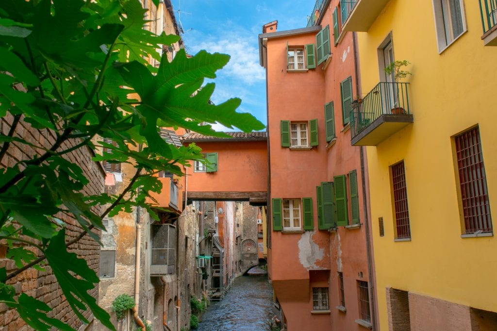 view of bologna canal with the leaves of a tree in the foreground on the left side