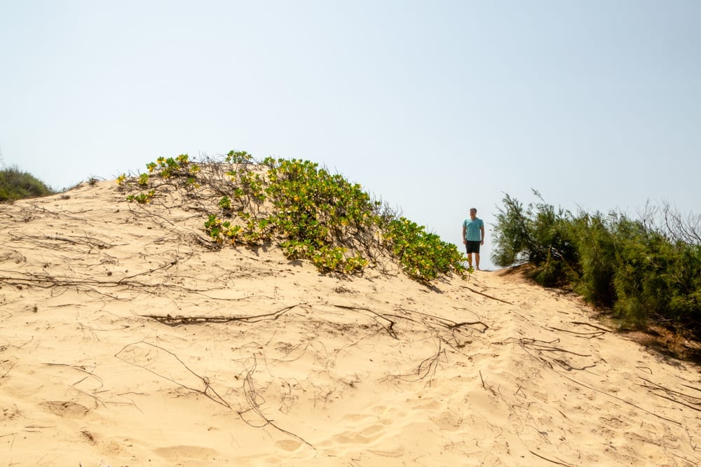 Tofo, Mozambique: Sand Dunes