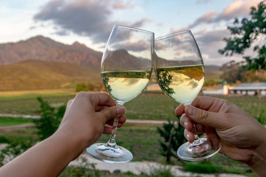 3 Days in Cape Town: Visit Cape Winelands