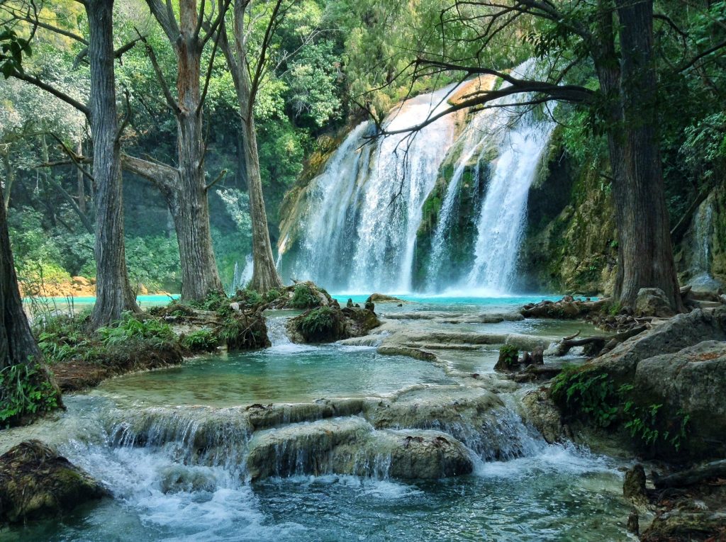 smaller watefall at el chiflon, as seen through the trees with a small pool in the foreground