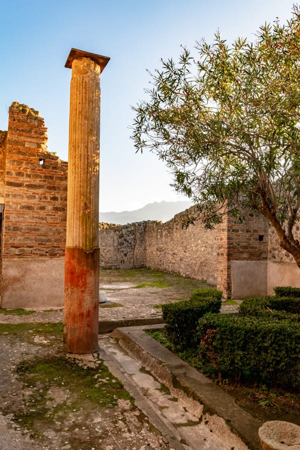 Visiting Pompeii: Column