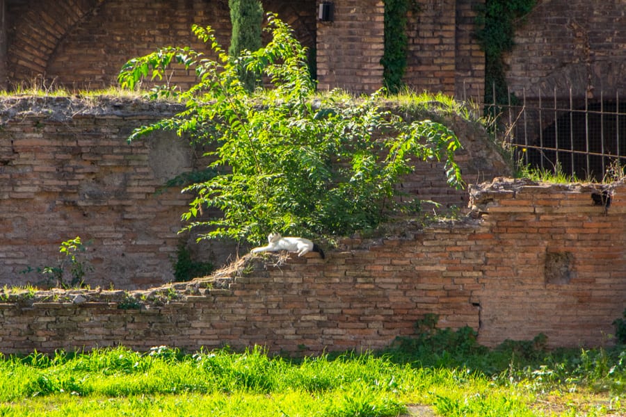 4 Day Rome Itinerary: Ruins in Rome