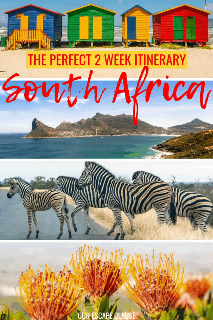 The Ultimate 2 Week South Africa Itinerary: where to go, what to do, and what to bring! #southafrica #africa #travelafrica #safari #capetown