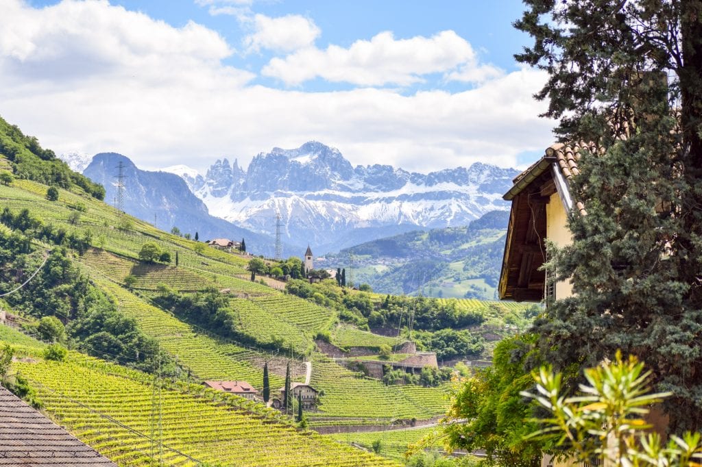 View near Bolzano Italy with vineyards in the foreground and the Italian Dolomites in the background, as included on a blog post about the best short travel quotes and travel captions
