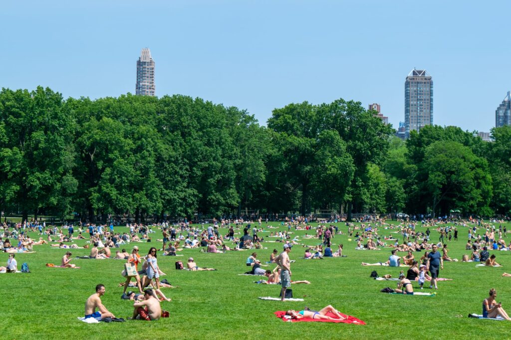 4 Day New York itinerary: Central Park lawn