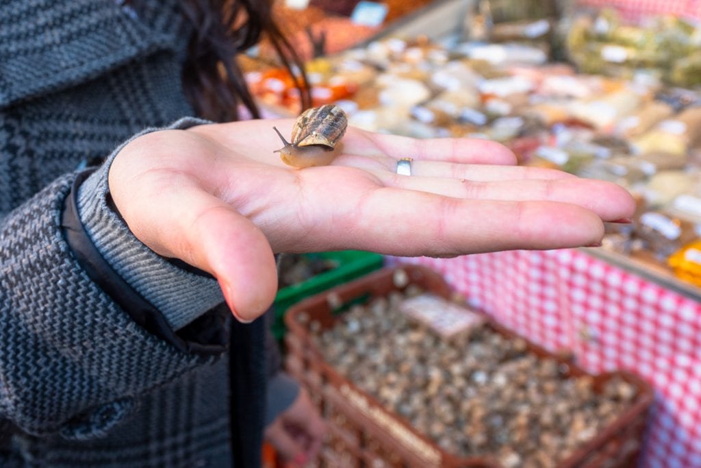 athens food tour guide holding a slug in the athens central market
