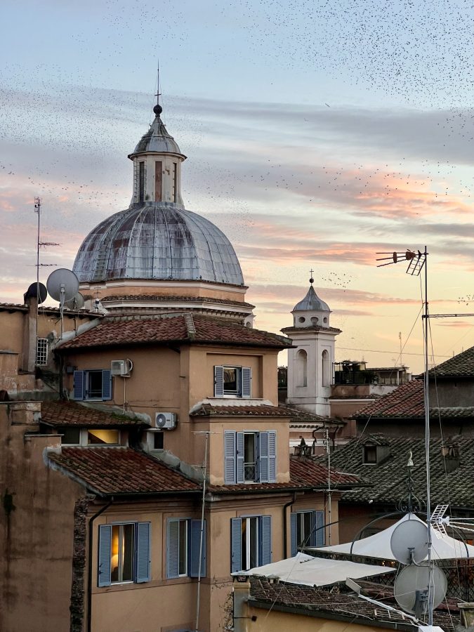 rooftops of rome in december at sunset with flock of starlings visible