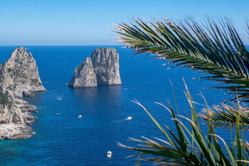 faraglioni in capri as seen from above with palms in the foreground