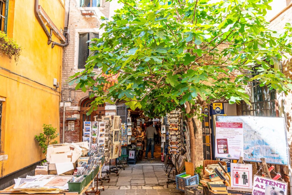 Entrance to Libreria Acqua Alta Bookstore Venice, with leafy tree over tables of books and postcards.