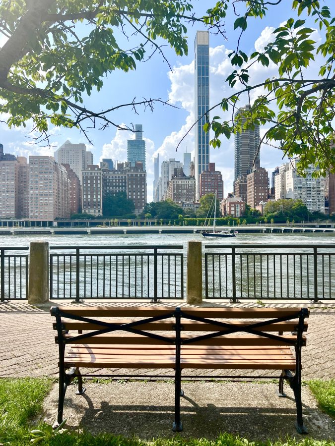 view of an empty bench on a summer day in new york city surrounded by greenery and overlooking the east river, with the midtown manhattan skyline in the distance