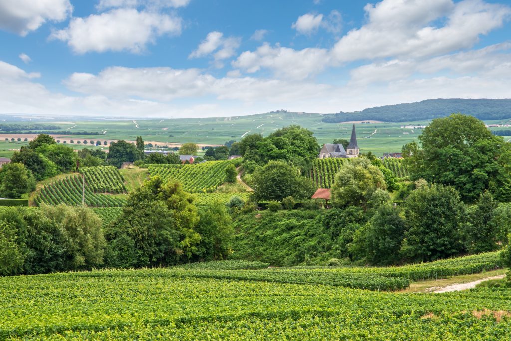 vineyards of the champagne region in france, one of the best road trips in france