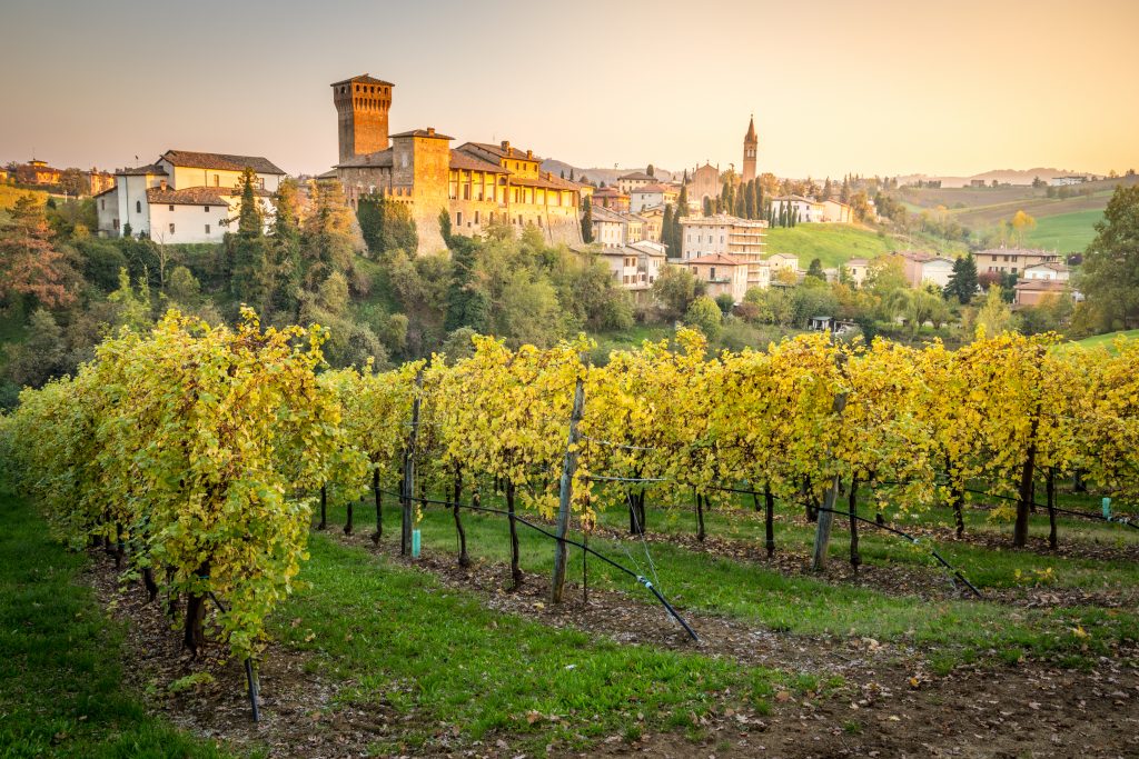small town modena italy as seen across a vineyard with grape vines in the foreground