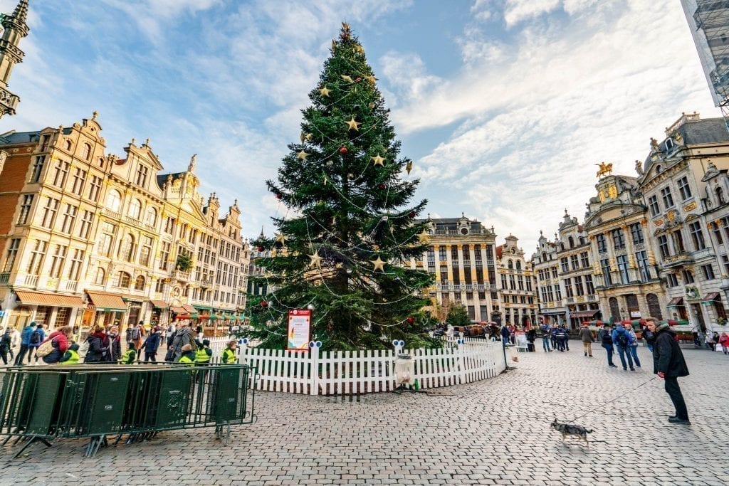 giant christmas tree in grand place brussels belgium december