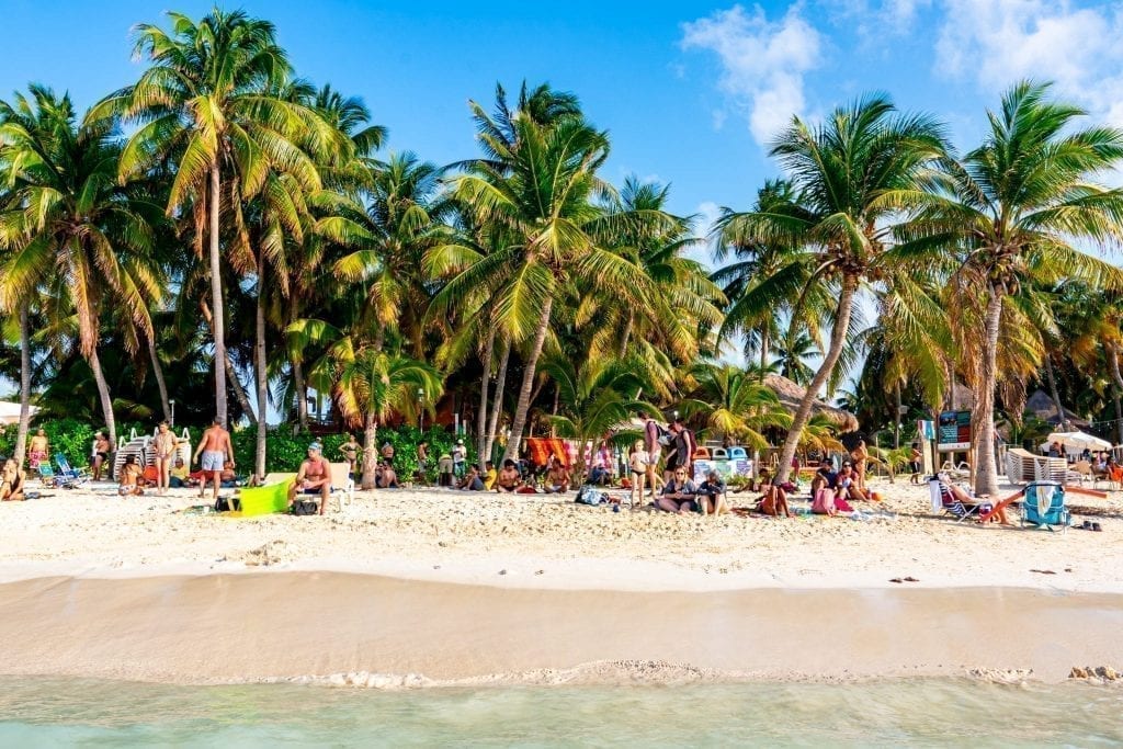 Palm trees as seen looking back toward the shore in the water at Playa Norte Isla Mujeres