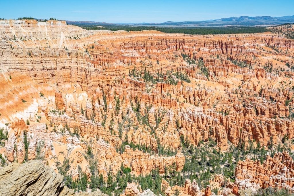 View from Bryce Point, one of the best things to see in Bryce Canyon