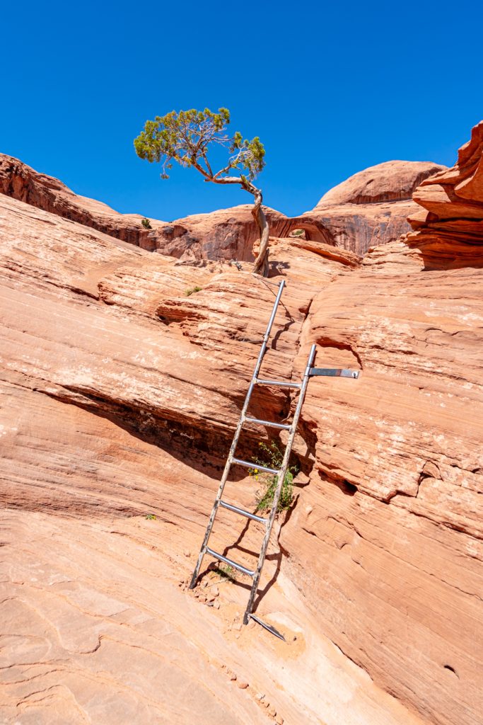 small ladder as seeing when hiking corona arch trail