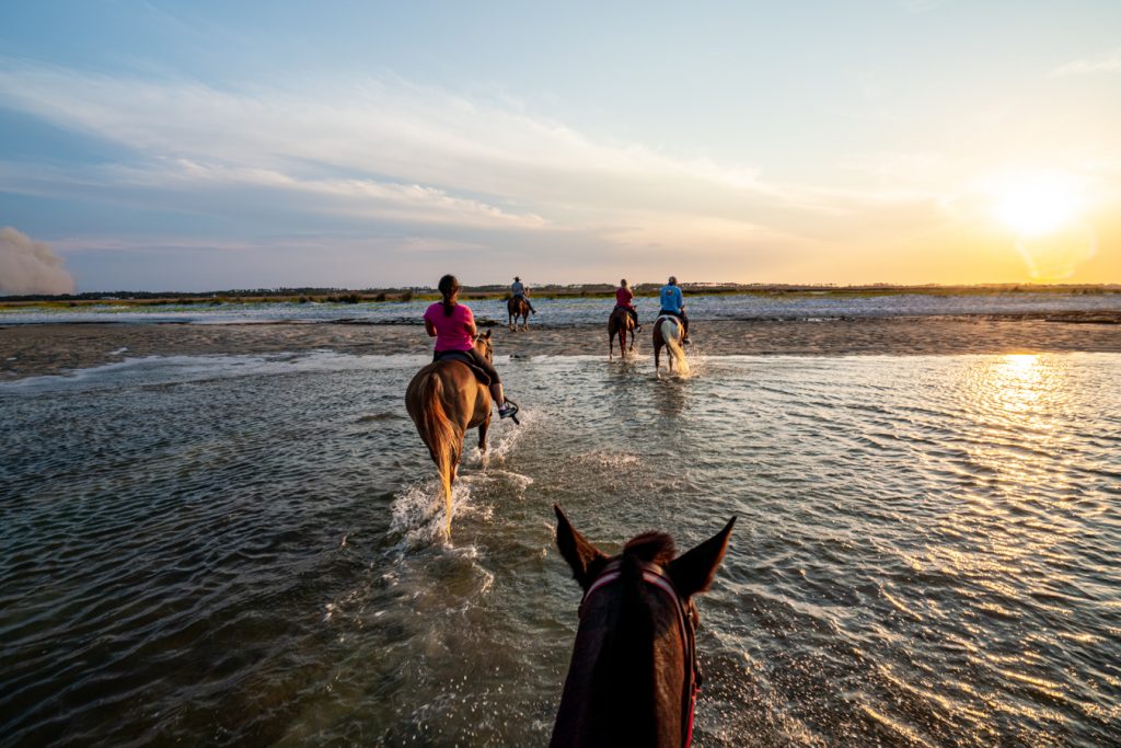 horseback ridge on the beach at sunset cedar island north carolina