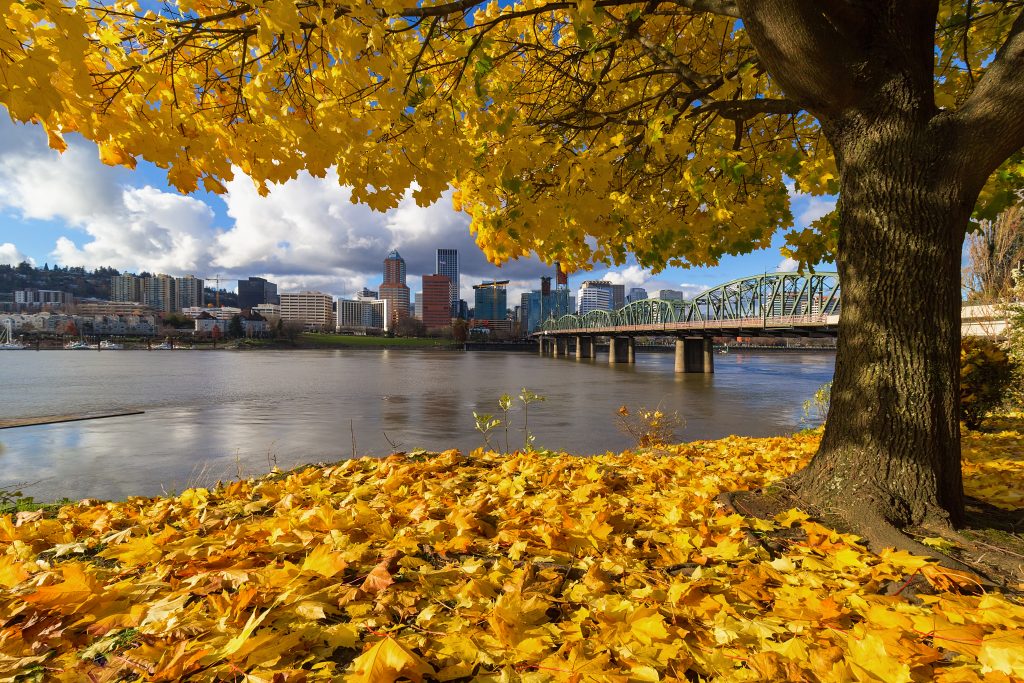 portland oregon skyline with fall foliage in the foreground, november usa vacation spots