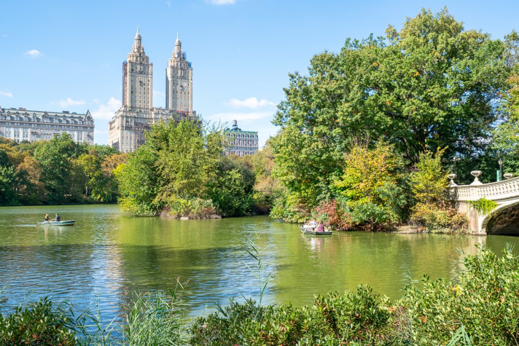 view of central park rowboats with a small piece of bow bridge visible on the right in central park nyc