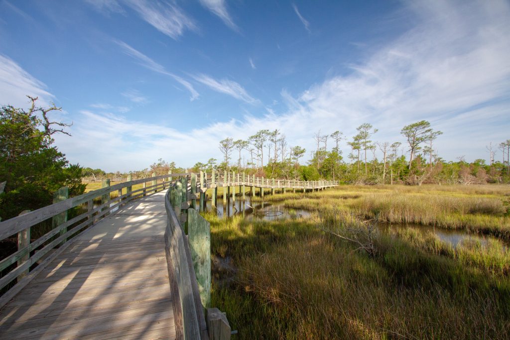 boardwalk in croatan national forest north carolina