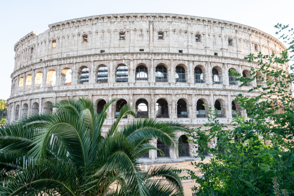exterior of roman colosseum with palm trees in the foreground