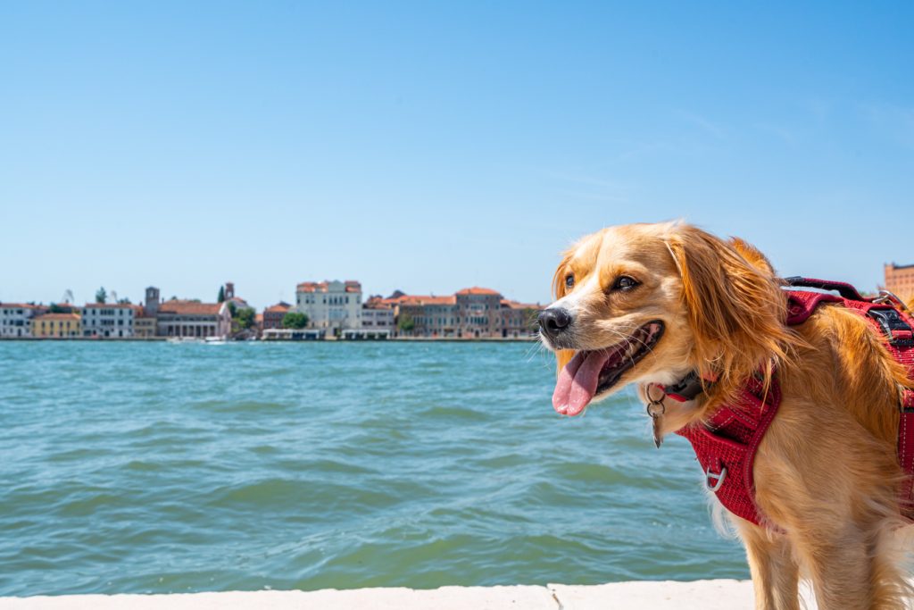 ranger storm in venice summer with lagoon and giudecca in background