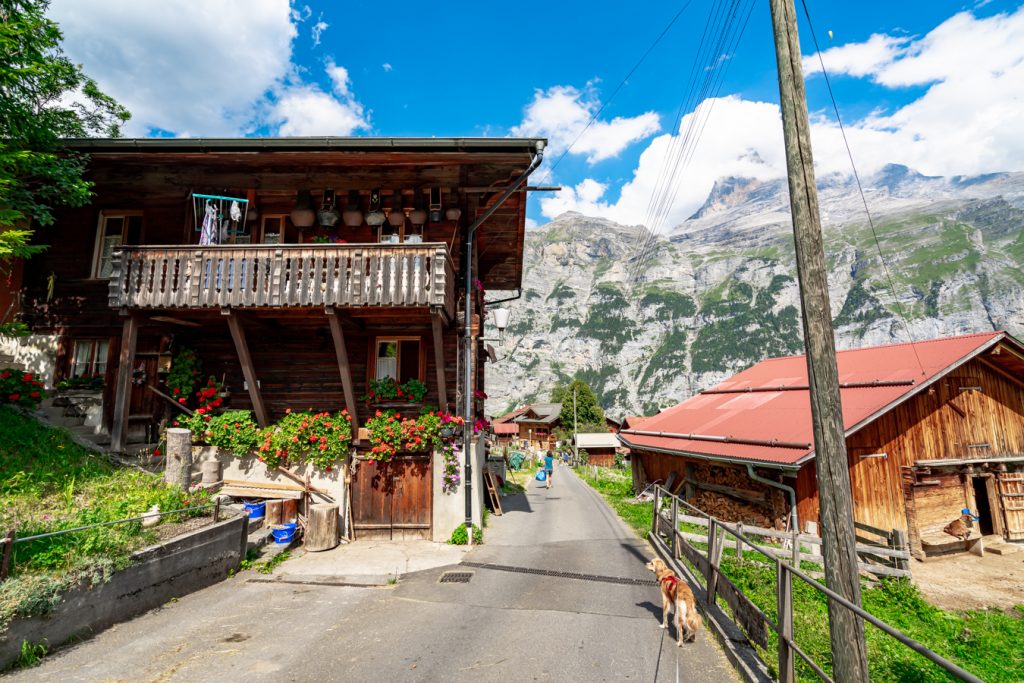 ranger storm walking through swiss chalets when enjoying the best things to do in gimmelwald switzerland
