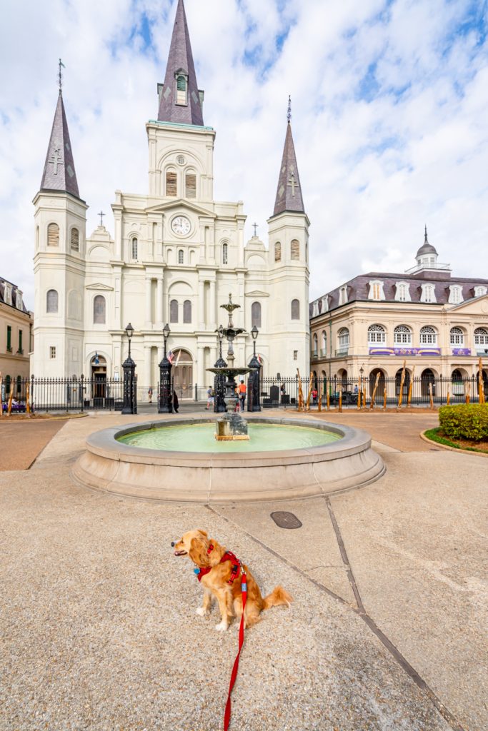 ranger storm sitting in front of the st louis cathedral during one day in new orleans la