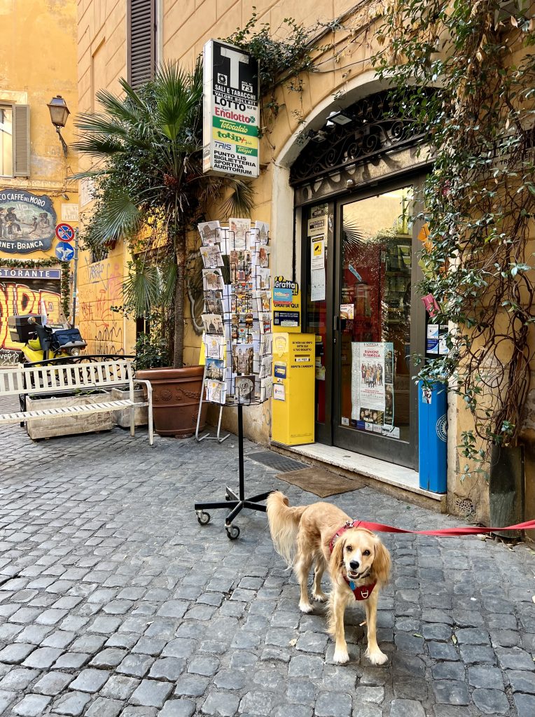 ranger storm in front of a tabacci shop in trastevere italy