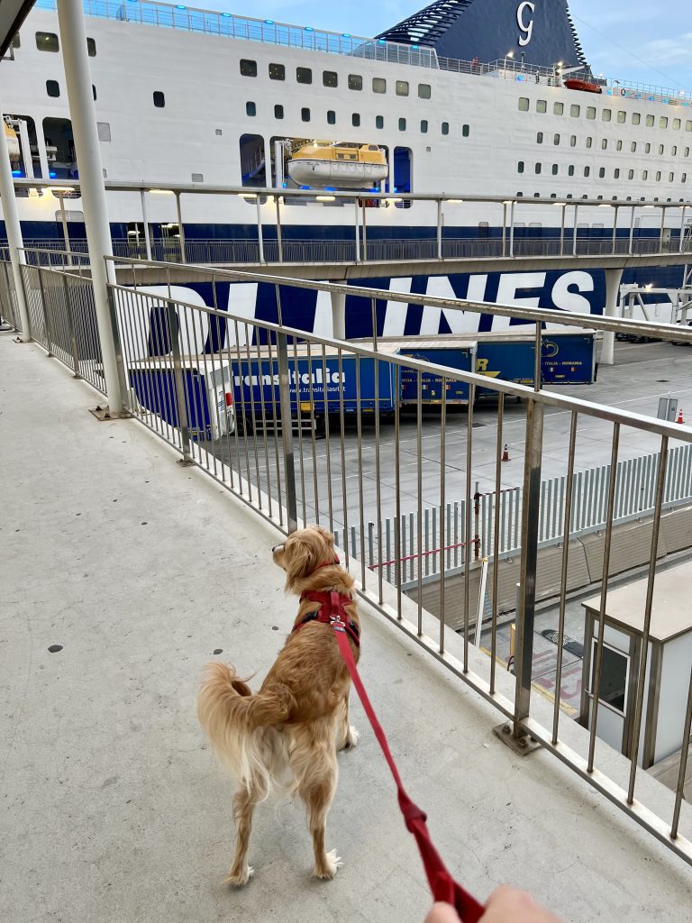 ranger storm waiting to board grimaldi lines boat in barcelona spain