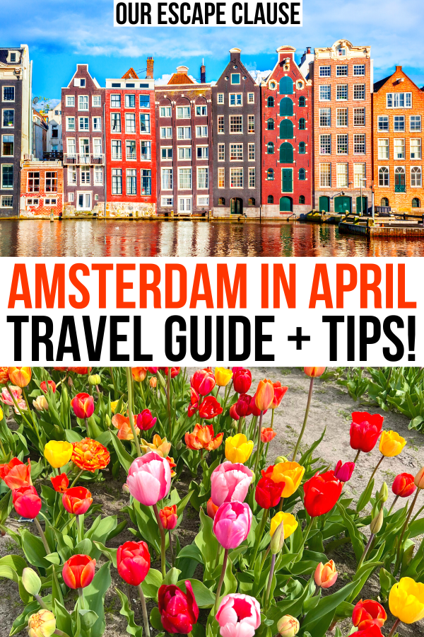 2 photos of spring amsterdam, view of buildings along canal and view of tulips from above. black and orange text reads "amsterdam in april travel guide tips"