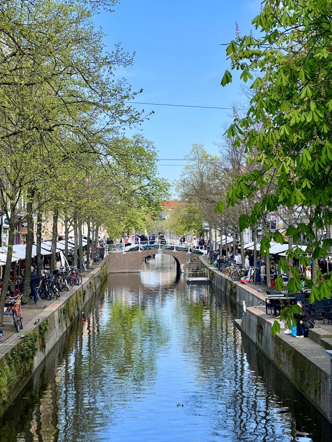 view of a canal lined with trees in delft day trip