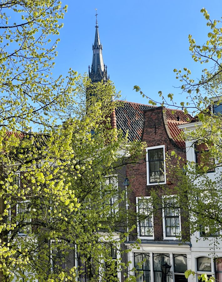 view of spring trees and traditional dutch houses from a hotel room in delft